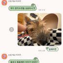 블루밍 서교 | 10 한국와서 병에 걸렸어요