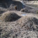 곡성-171 이미지