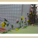 정은당 Daum카페