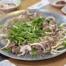 고령농장(2) | 고령 맛집 몸보신 끝판왕! 고령염소마을 깔끔한 염소불고기+염소탕 솔직후기