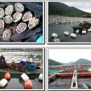 벧엘민박 이미지