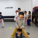 키즈태권도장 이미지