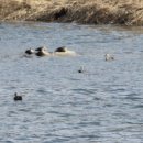 횡성축협한우프라자 이미지