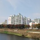 한양할아버지경로당 네이버블로그