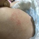 보니 - 중랑구 용마산로 420 | 보니