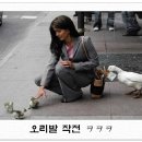 사오정