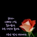 행복한 하루 - 서구 | 행복한 하루