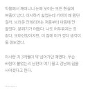 지니네33