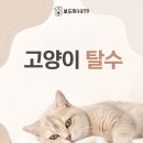 구미옥계동물병원