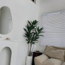 리포레풀램핑 이미지