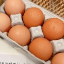 파파농장 이미지