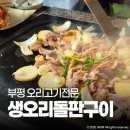 부평광장점 | 부평 바베큐광장 생오리돌판구이 오리로스 맛집