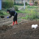 영양돌솥밥 이미지