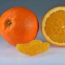 오렌지 이미지