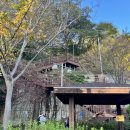 좌동산책길 이미지