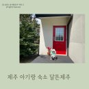 달뜬제주 | 제주 아기랑 숙소 서귀포 독채 달뜬제주