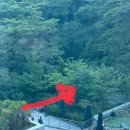 윌스파 | [제천 리솜포레스트] 수영장 해브나인 이용후기+🍯꿀팁공유
