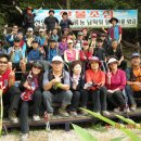 안희태농장 Daum카페