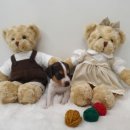 멍멍아 놀자 이미지