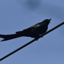 외연도5 이미지