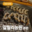 갈릴리농원청미안