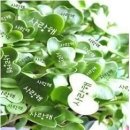 꿈이 있는 곳 이미지