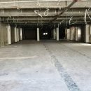 올리브영 앞 횡단보도 이미지