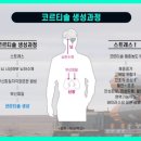 신흥클린 이미지