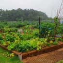 선학텃밭화장실 이미지