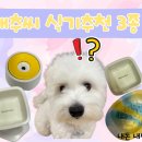 바라바(BARABA) | 강아지 밥그릇 & 물그릇 추천 배추가 실제로 쓰는 식기 3종 비교 후기
