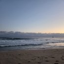 정동진 2026년🌅해돋이, <b>원성</b>식당, 발왕산 케이블카