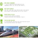 안남공인중개사사무소 이미지