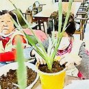 부안군노인요양병원 | 부안방문요양의 특별한 선택, 다온노인복지센터에서 누리는 건강하고 행복한 일상
