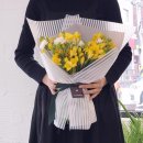 후리지아 Daum카페