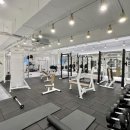 고하드짐 이미지