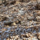 화봉산성 이미지