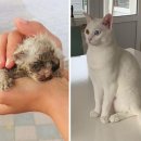 사랑한스푼 이미지