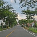 대교횟집 이미지