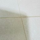 옥산당구장