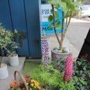 평거동3 이미지