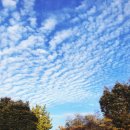 석빙고 공영주차장 이미지