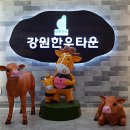 강원한우타운 이미지