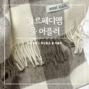 디엠빅 | 카르페디엠 울100% 머플러 데일리 목도리 MF009