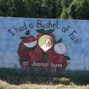 재영농장 이미지