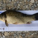 물나들이 이미지