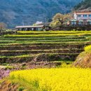 다랭이마을 이미지