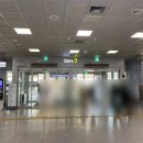 명푸드 도시락 | [김해공항] 와이파이도시락김해공항: 와이파이도시락 장단점 솔직후기 (이심vs와이파이도시락)