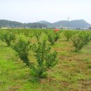 쌍암농장 이미지