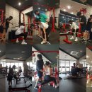 고포잇짐 이미지