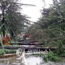 동대구로 이미지